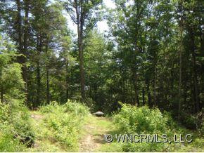 2538 DOE BRANCH ROAD - Photo 12