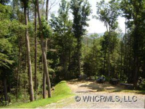 2538 DOE BRANCH ROAD - Photo 6