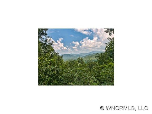 732 Mountain Cove Road