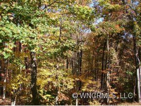 18 Howling Waite Ridge - Photo 16