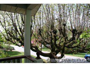 58 Fairfax Avenue - Photo 4