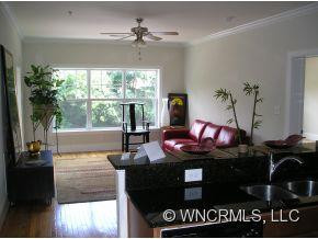 155 S. Lexington Ave. B 207 - Photo 2