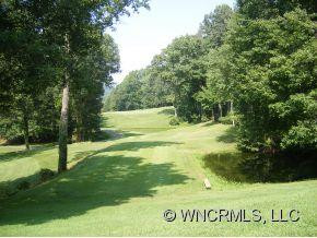 48 Glen Cannon Point #1 - Photo 9