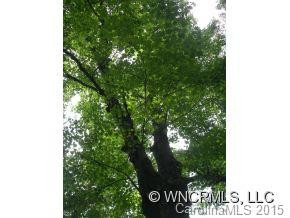 120 Forest Hills Circle - Photo 9