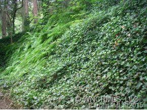 120 Forest Hills Circle - Photo 10