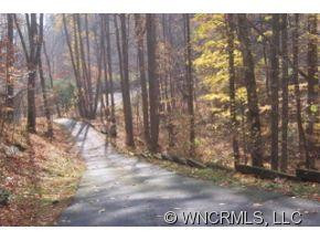 25 Fork Ridge Run Rd - Photo 2
