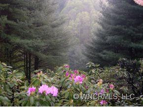 310 Smith Creek Road - Photo 10