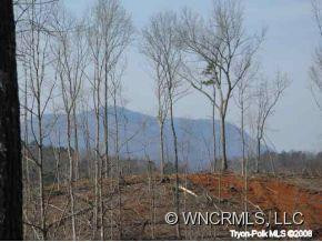 783 Big Level Road - Photo 8