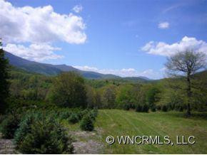 1131 Halls Chapel Road - Photo 3