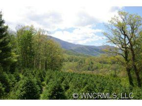 1131 Halls Chapel Road - Photo 6
