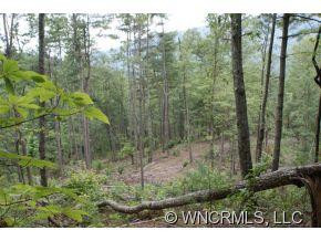 1113 Jeter Mountain Road - Photo 5