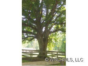 830 Bent Oak Drive - Photo 12