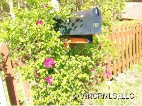 210 BANYAN RD. - Photo 13