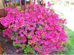 210 BANYAN RD. - Photo 14