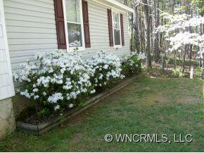 210 BANYAN RD. - Photo 15