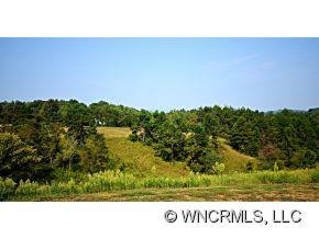 230 Grassy Fields Drive - Photo 2