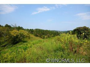 230 Grassy Fields Drive - Photo 12