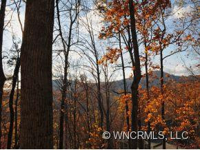 309 MOUNTAIN LAUREL - Photo 15
