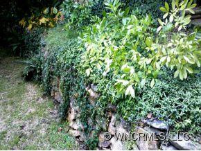 927 Country Club Road - Photo 2