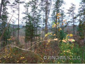 Lot A B Plum Tree Hollow - Photo 11