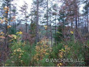 Lot A B Plum Tree Hollow - Photo 12