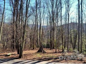 540 WEBB CREEK ROAD - Photo 19