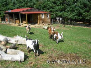 139 Jack Rabbit Run Lane - Photo 10