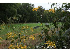 60 Laughing River - Photo 11