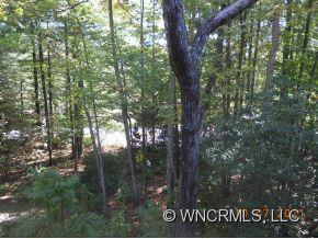 204 SPANISH OAK LANE - Photo 12