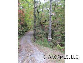 TBD Gaston's Bee Gum Road - Photo 12
