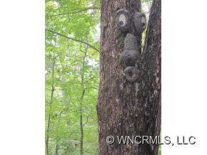 TBD Gaston's Bee Gum Road - Photo 10