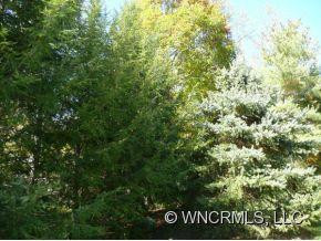 2699 MIDDLETON CIRCLE - Photo 10