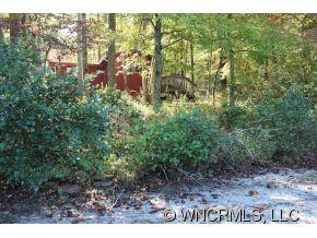 1753 Line Runner Ridge - Photo 11