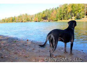 1753 Line Runner Ridge - Photo 10
