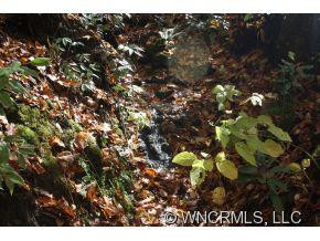 755 Pearson's Falls Road - Photo 2