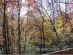 58 Ragz Ridge - Photo 5