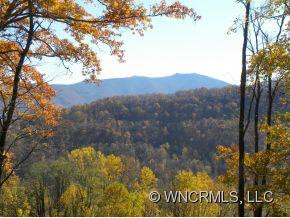 599 RAVEN ROCK DRIVE - Photo 3