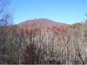 255 Violet Ridge - Photo 12