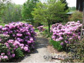 68 Dale Hill Road - Photo 3