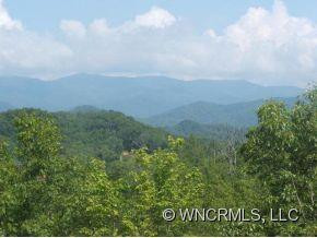 207 Tuckaseegee Overlook - Photo 2