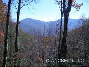 1104 LAUREL RIDGE ROAD - Photo 3