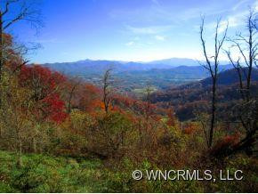206 Hawk Holler Trail - Photo 2