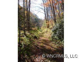 2767 Meadow Fork Road - Photo 11