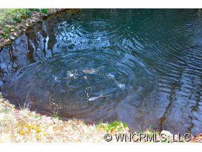 1714 Chestnut Flats Rd - Photo 19