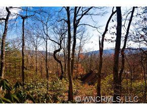 202 Allen Mountain - Photo 2