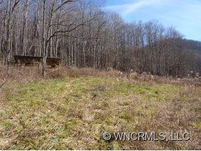 767 Howard Moore Road - Photo 3