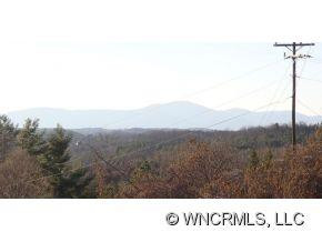 295 Roper Loop Road - Photo 2