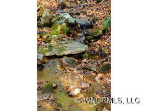 32 Indian Knob - Photo 19
