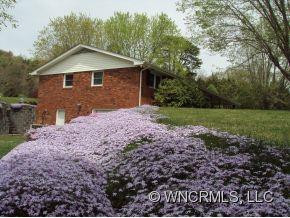 116 Emmas Grove Road - Photo 15