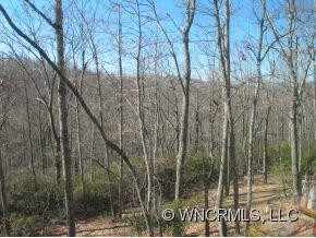 22 Rolling Ridge Trail - Photo 16